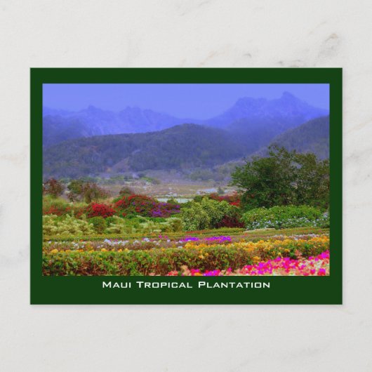 Carte Postale Maui Tropical Plantation West Maui Mountains (Devant)