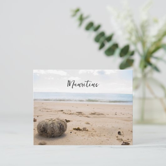 Carte postale Maurice (Debout devant)