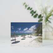 Carte Postale Maurice, Ile Maurice, Belle Mare, (Debout devant)