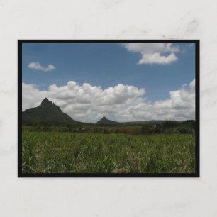Carte Postale Maurice / Maurice