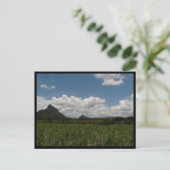Carte Postale Maurice / Maurice (Debout devant)