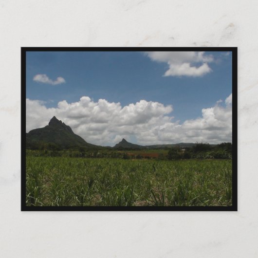 Carte Postale Maurice / Maurice (Devant)