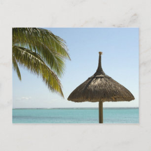 Carte Postale Maurice. Scène de plage idyllique avec parasol