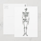 Carte Postale Mauvais à l'os (Devant / Derrière)