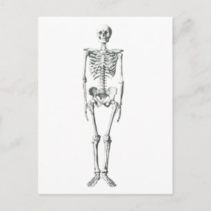 Carte Postale Mauvais à l'os