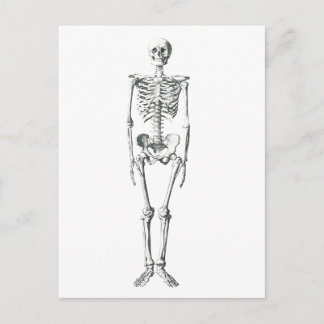 Carte Postale Mauvais à l'os