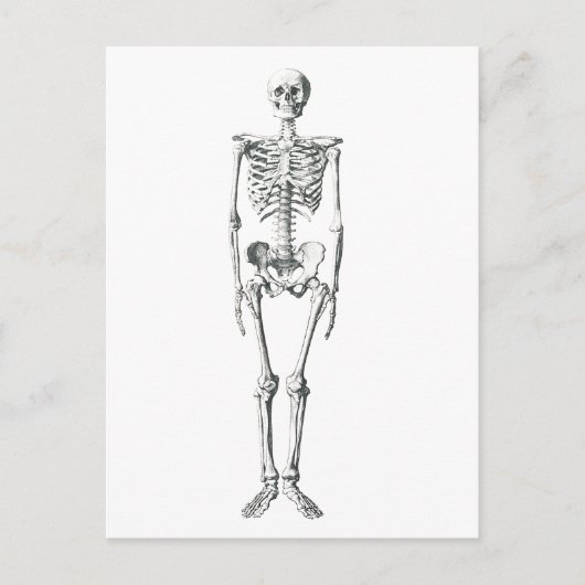 Carte Postale Mauvais à l'os (Devant)