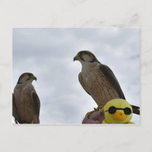 Carte Postale Mauvais endroit mauvais moment