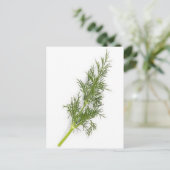 Carte Postale Mauvaise herbe (Debout devant)