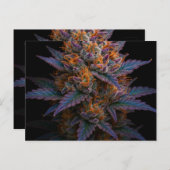 Carte Postale Mauvaise herbe exotique (Devant / Derrière)