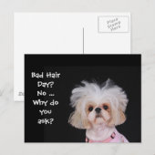 Carte Postale Mauvaise Journée des cheveux ? (Devant / Derrière)