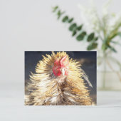 Carte Postale Mauvaise journée des cheveux (Debout devant)