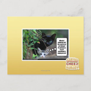 Carte Postale mauvaises choses