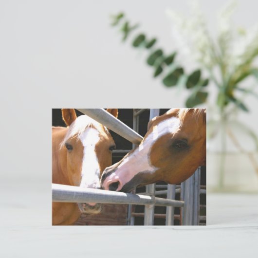 Carte Postale Max et son fils Leonardo (Debout devant)