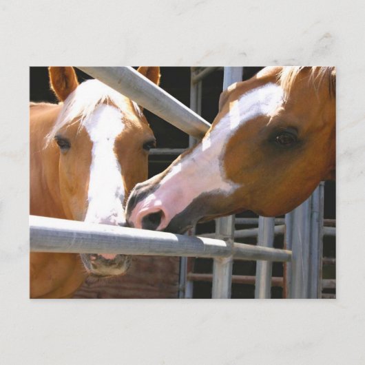 Carte Postale Max et son fils Leonardo (Devant)