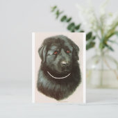Carte Postale Maximillian (Debout devant)