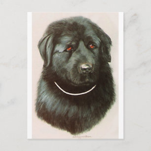 Carte Postale Maximillian