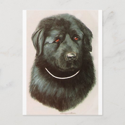 Carte Postale Maximillian (Devant)