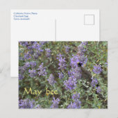 Carte Postale May Bee (Devant / Derrière)
