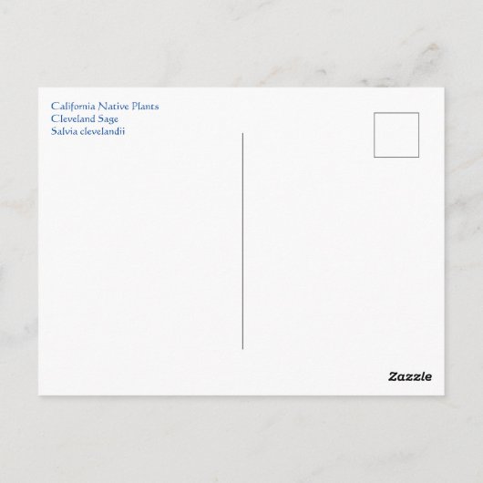 Carte Postale May Bee (Dos)