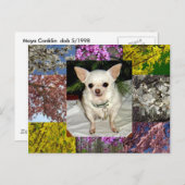 Carte postale Maya (Devant / Derrière)