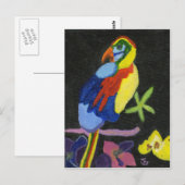 Carte Postale Maya Macaw (Devant / Derrière)