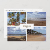 Carte postale Mayaro Beach Collage (Multi-view) (Devant / Derrière)