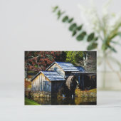 Carte Postale Mayberry Mills (Debout devant)