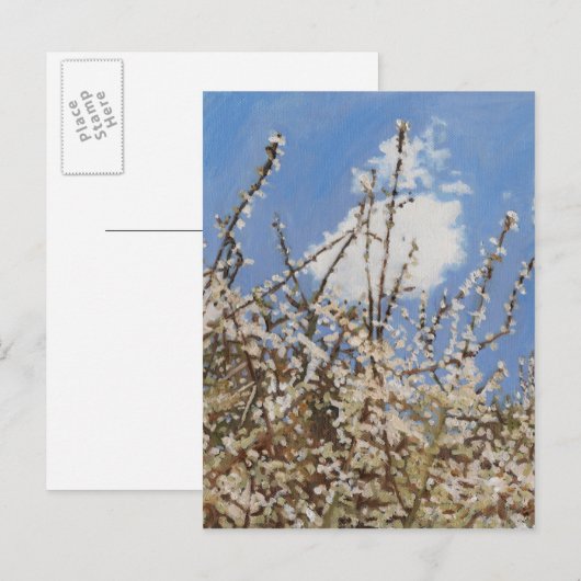 Carte Postale Mayflower 2012 (Devant / Derrière)