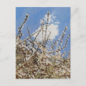 Carte Postale Mayflower 2012 (Devant)