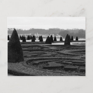 Carte Postale Maze