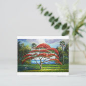 Carte Postale Mazz Royal Poinciana Tree (Debout devant)