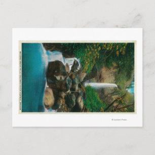 Carte Postale McCord Creed Falls sur Columbia River