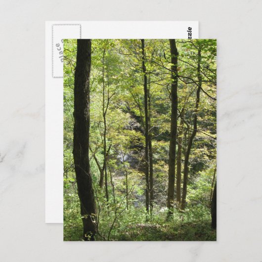 Carte postale McCormick's Creek (Devant / Derrière)