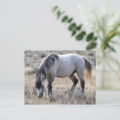 Carte Postale McCullough Peaks Cheaks sauvages (Debout devant)