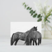 Carte Postale McCullough Peaks Cheaks sauvages (Debout devant)