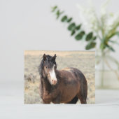 Carte Postale McCullough Peaks Cheaks sauvages (Debout devant)