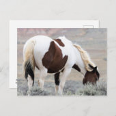 Carte Postale McCullough Peaks Cheaks sauvages (Devant / Derrière)