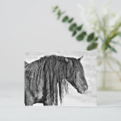 Carte Postale McCullough Peaks Cheaks sauvages (Debout devant)