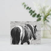 Carte Postale McCullough Peaks Cheaks sauvages (Debout devant)