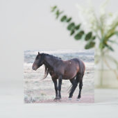 Carte Postale McCullough Peaks Cheaks sauvages (Debout devant)