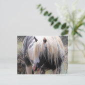 Carte Postale McCullough Peaks Cheaks sauvages (Debout devant)