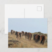 Carte Postale McCullough Peaks Cheaks sauvages (Devant / Derrière)