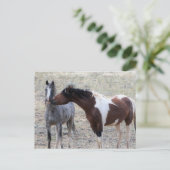 Carte Postale McCullough Peaks Cheaks sauvages (Debout devant)