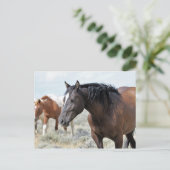 Carte Postale McCullough Peaks Cheaks sauvages (Debout devant)