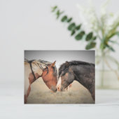 Carte Postale McCullough Peaks Cheaks sauvages (Debout devant)