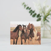 Carte Postale McCullough Peaks Cheaks sauvages (Debout devant)