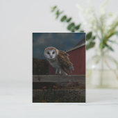 Carte postale "McHoots the Watch Owl" (Debout devant)