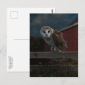 Carte postale "McHoots the Watch Owl" (Devant / Derrière)