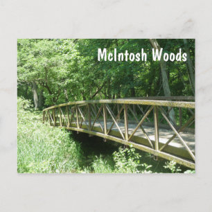 Carte Postale McIntosh Woods State Park, Iowa